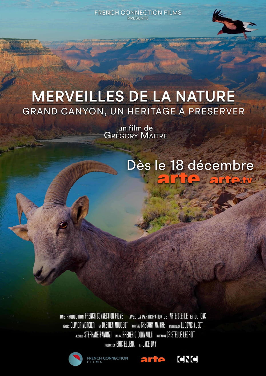 Merveilles de la nature : Grand Canyon, un héritage à préserver